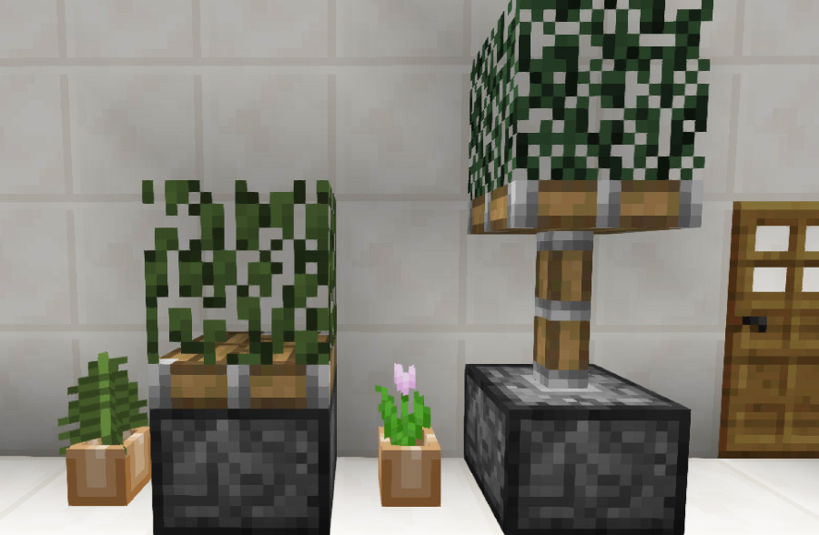 ピストン式観葉植物①