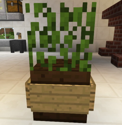 鉢植え風