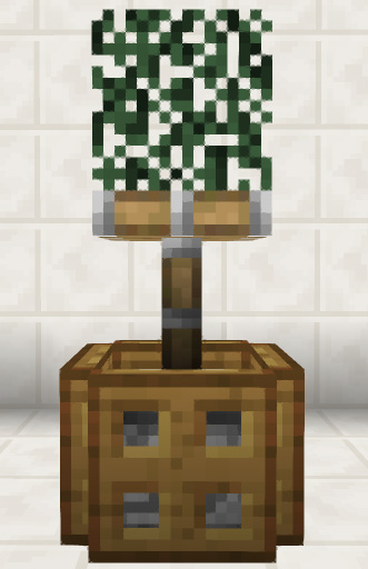 ピストン式観葉植物②