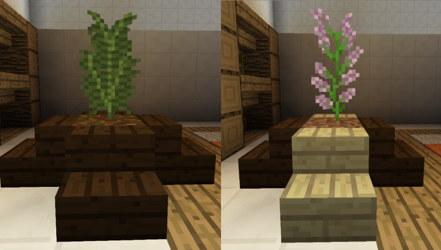 オブジェ的観葉植物