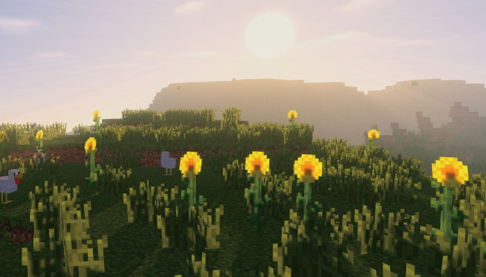 ひまわり平原-Sunflower Plains