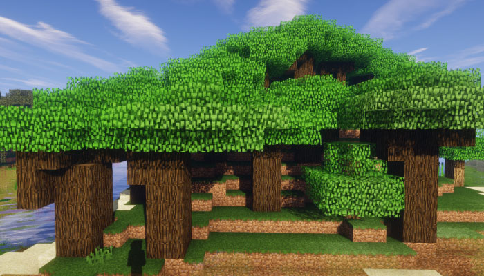 屋根に覆われた森 M-Roofed Forest M