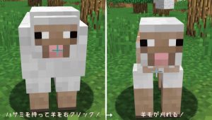 How to get wool in Minecraft (4 ways)