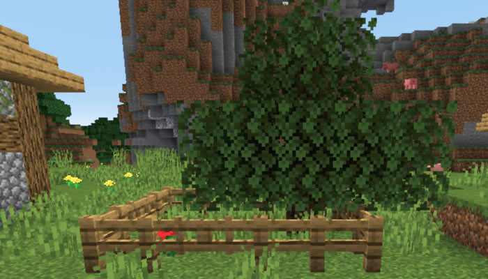 新しい村の植林
