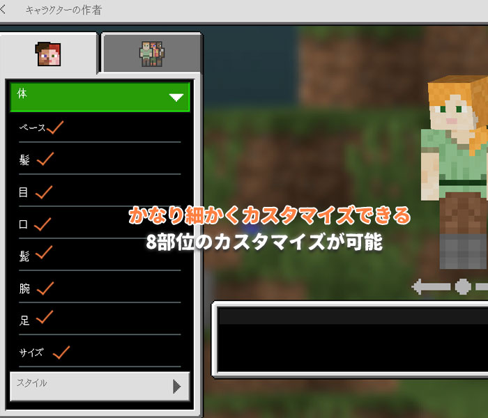 体のカスタマイズ項目は8つ