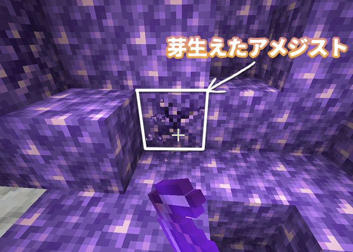 芽生えたアメジストを採掘