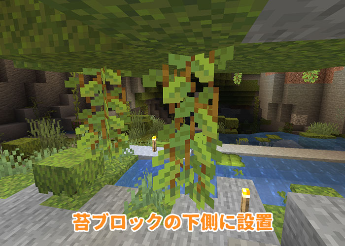 苔ブロックに生えるグロウベリー