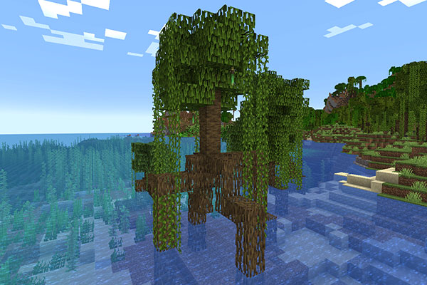 マングローブの木