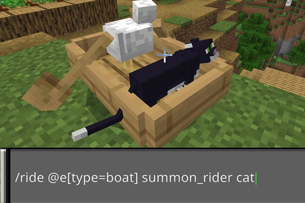 ボートにネコを乗せるコマンド
