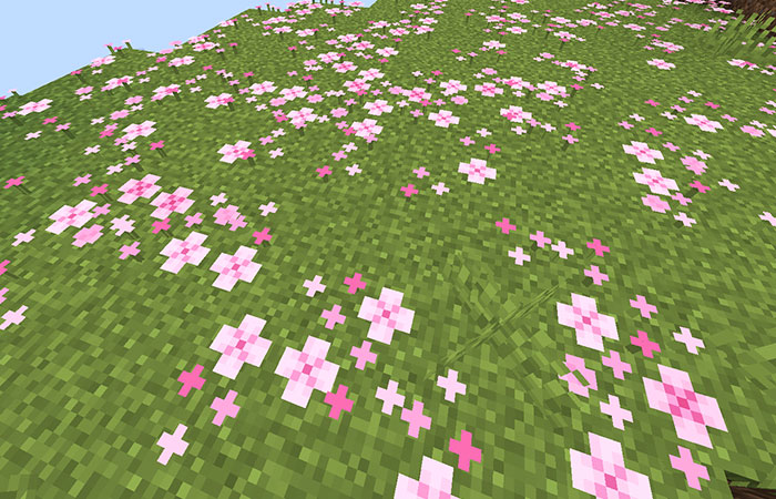 地面に落ちたピンクの花びら